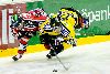 5.1.2008 - (Ässät-SaiPa) kuva: 8