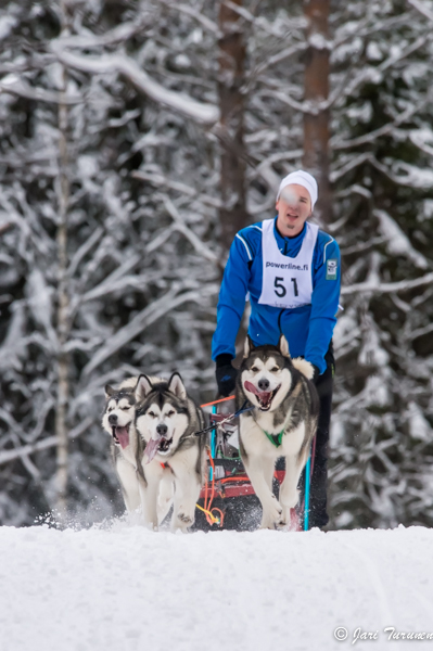 16.02.2014-(Koiravaljakko SM)