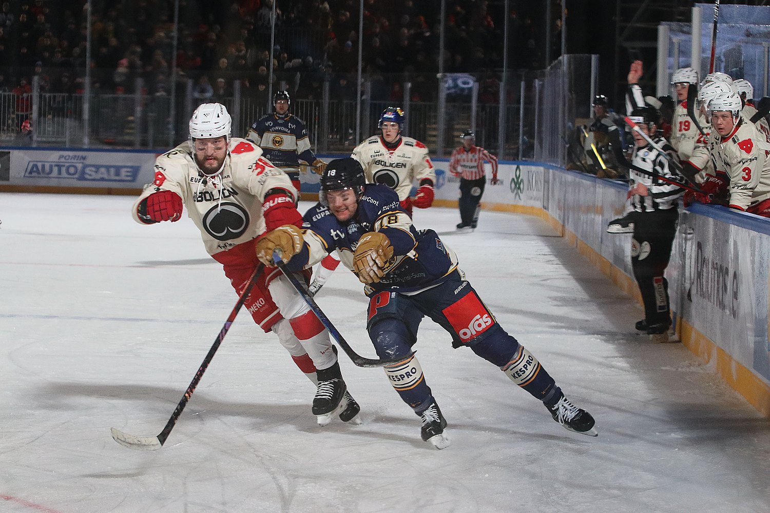 24.1.2025 - (Lukko-Ässät)