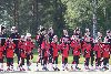 3.6.2025 - (Pesäkarhut N-Tahko N) kuva: 2