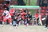 6.6.2025 - (Pesäkarhut N-Jussittaret N) kuva: 33