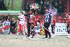 6.6.2025 - (Pesäkarhut N-Jussittaret N) kuva: 71