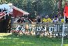 17.7.2025 - (MuSa-P-Iirot) kuva: 13