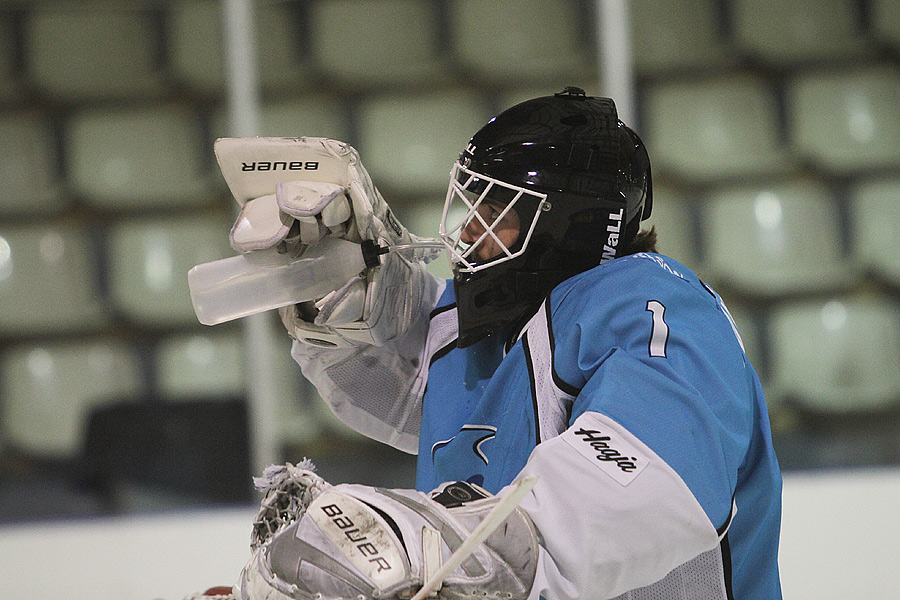 2.3.2013 - (HC Satakunta-Oilers)
