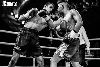 13.8.2016 Boxing Night Savonlinna: Olavi Hagert vs Reynaldo Mora kuva: 28