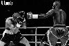 13.8.2016 Boxing Night Savonlinna: Nourdeen Toure vs Bogdan Mitic kuva: 4