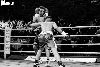 13.8.2016 Boxing Night Savonlinna: Olavi Hagert vs Reynaldo Mora kuva: 14