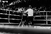 13.8.2016 Boxing Night Savonlinna: Nourdeen Toure vs Bogdan Mitic kuva: 23