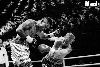 13.8.2016 Boxing Night Savonlinna: Tuomo Eronen vs Reynaldo Cajina kuva: 8