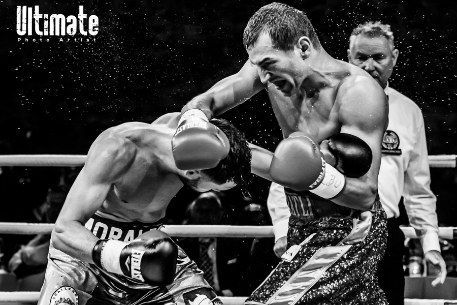 13.8.2016 Boxing Night Savonlinna: Edis Tatli vs. Cristian Morales