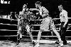 13.8.2016 Boxing Night Savonlinna: Edis Tatli vs. Cristian Morales kuva: 15