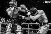 13.8.2016 Boxing Night Savonlinna: Edis Tatli vs. Cristian Morales kuva: 10