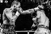 13.8.2016 Boxing Night Savonlinna: Edis Tatli vs. Cristian Morales kuva: 9