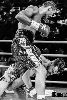 13.8.2016 Boxing Night Savonlinna: Edis Tatli vs. Cristian Morales kuva: 3