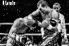 13.8.2016 Boxing Night Savonlinna: Edis Tatli vs. Cristian Morales kuva: 1