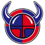 Viikingit Jääkiekko - logo