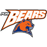 Bears - logo