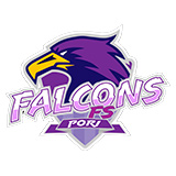 Falcons FS - logo