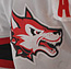 Kuva: UrheiluJoensuu